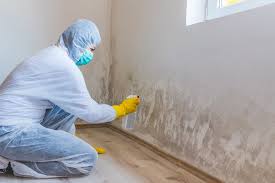 Best Water Damage & Mold Remediation  in Highwood, IL