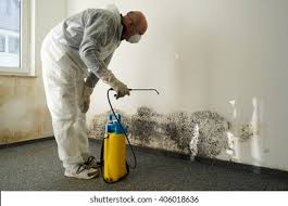 Best Environmental Consulting for Mold Prevention  in Highwood, IL